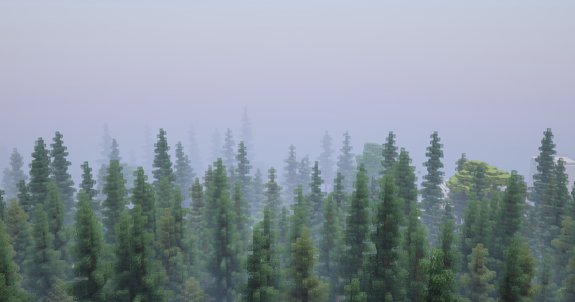 Misty conifer forest surrounding Asama in Bokkai.